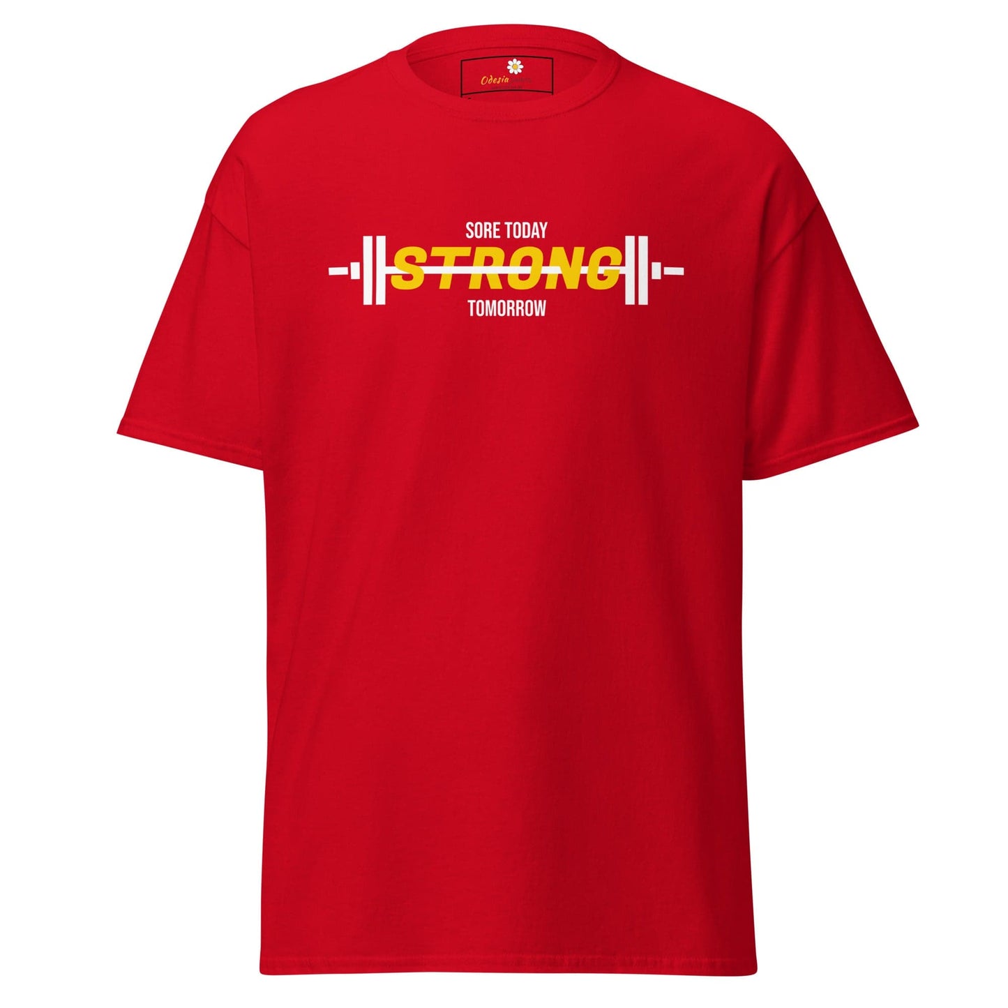 Unisex classic t-shirt - SPORT SORE TODAY - REGULAR - Red / S